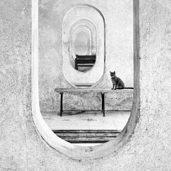 Photograph Aiman Nassar  The Home That Never Left Us on One Eyeland